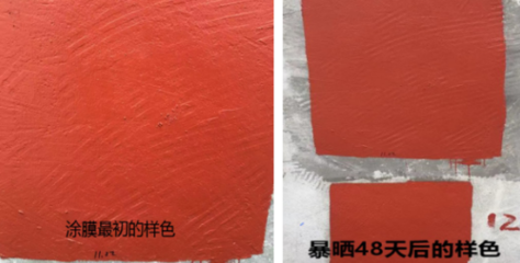 新品丨三棵樹防水全新&ldquo;黑科技&rdquo;,讓工人愛不釋手